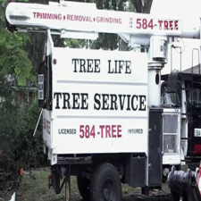 Photo of Tree Life 1 , LLC Photo of Tree Life 1 , LLC
